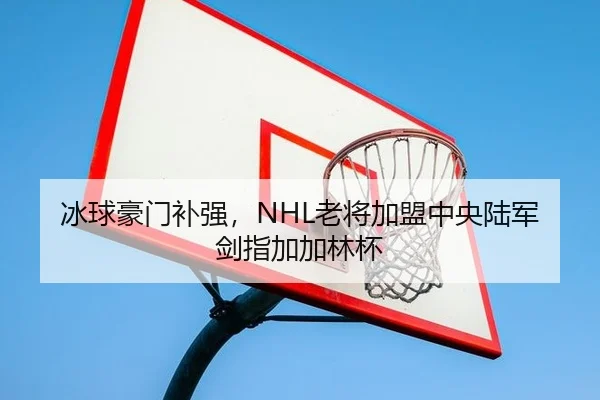 冰球豪门补强，NHL老将加盟中央陆军剑指加加林杯 | kaiyun.com